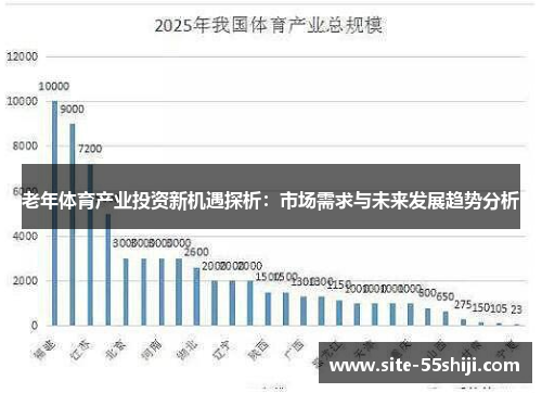 老年体育产业投资新机遇探析：市场需求与未来发展趋势分析